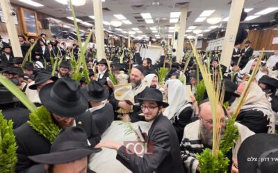 EN IMAGES. Hochaana Rabba au 770 : la prière du matin et les Hochaanot