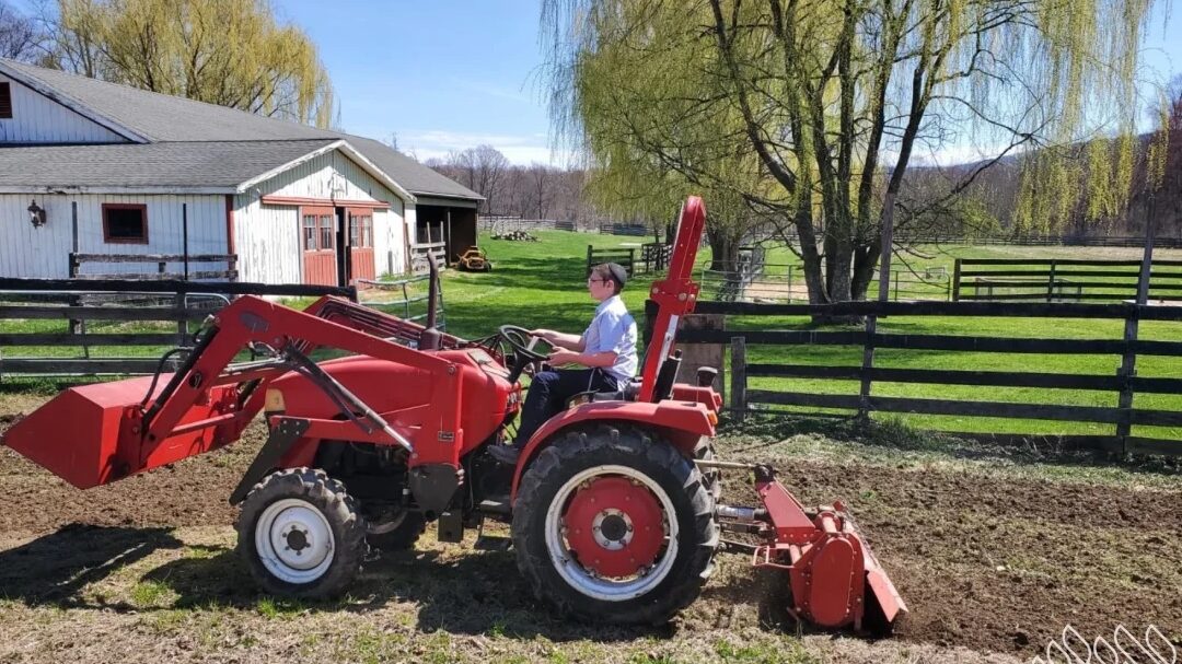 Hopewell Junction : les Chlou&rsquo;him du Rabbi qui sont aussi agriculteurs