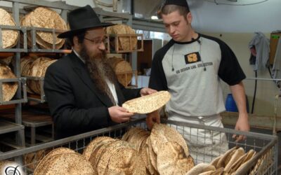 Les Matsot Loubavitch de Kfar Habad arrivent en France