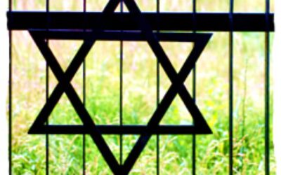 De skinhead à Juif orthodoxe : Résurrection juive en Pologne