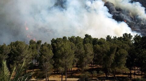 Gigantesque incendie aux portes de Yad Vashem à Jérusalem