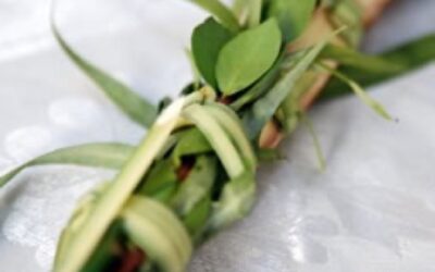 Le bouquet des Quatre Espèces