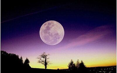 Une "super pleine Lune" a illuminé le ciel