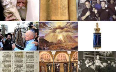 Huit Sifrei Torah représentant le peuple juif