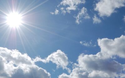 L'âne a froid alors que le soleil luit lui !