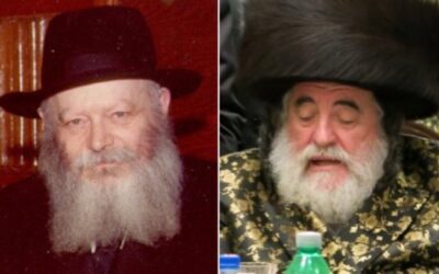Le Rabbi de Viznitz commémore la Hilloula du Rabbi de Loubavitch devant des milliers de Hassidim