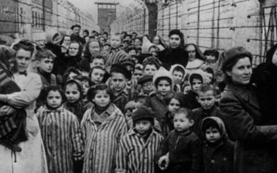 SHOAH : des restes de 86 victimes juives découverts à l'Institut médico-légal de Strasbourg