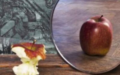 La théorie du miroir : Que faire avec les gens impossibles?