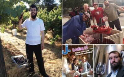 CALIFORNIE : les Chlouhim font leur propre vin