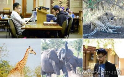 Afrique du Sud : safari pour les étudiants en Smiha