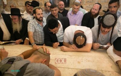 Shwekey danse au Kever Yossef