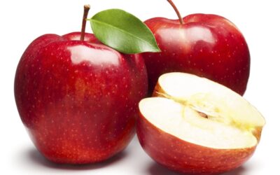 Le fruit défendu était-il vraiment une pomme ?