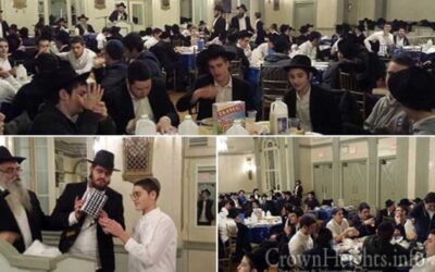CROWN HEIGHTS : la Metivta lance un nouveau Mivtsa à l'occasion de Haf Hechvan