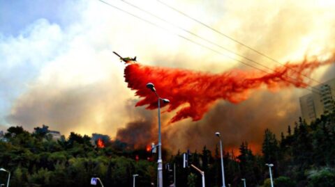 INCENDIES CRIMINELS : 11 quartiers de Haïfa évacués