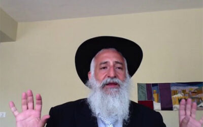 KI TETSÉ: "Le serpent et l'arbre" par le Rav Yossef David Cohen