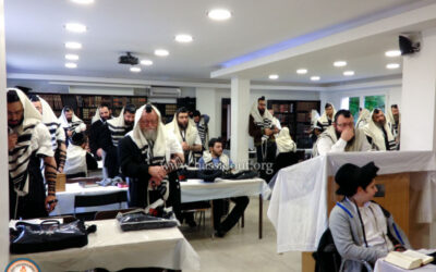 Kollel Torat Menahem de Yerres : Journée d'étude sur le Ribit, dimanche 10 novembre 2013
