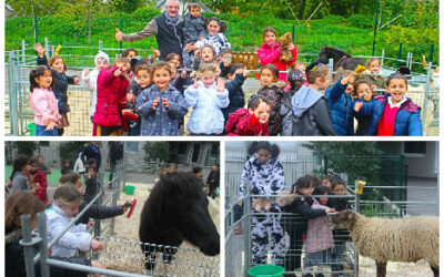 Vivre avec le temps : les animaux de l'arche de Noa'h à l'école Beth Rivkah