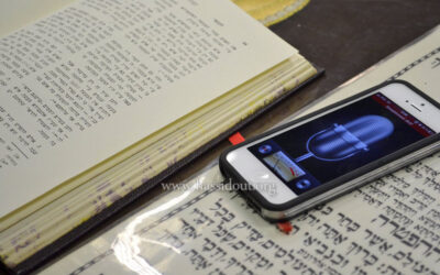 Kinous Torah à Lyon Isrou &lsquo;Hag Pessa'h 5773