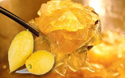 La recette de la semaine : La confiture d'Etrog