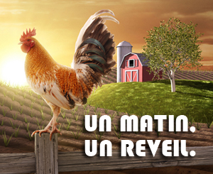 Un matin, un reveil.