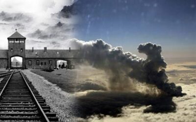Reflexion sous un nuage…