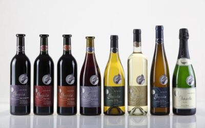 Le vin du Golan élu meilleur vin parmi 1000 compétiteurs issus de 30 pays