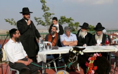 Rachat du premier-né de l'âne à Kohav Yaakov