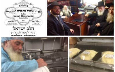 Badatz Ihoud Harabanim : le lait et la fabrication du fromage Mozzarella