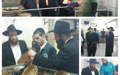 Les Matsot de Kfar &lsquo;Habad en route vers la France